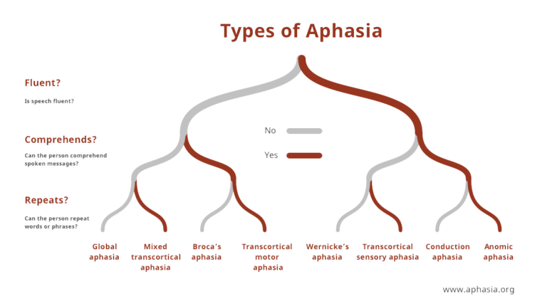 Types of Aphasia